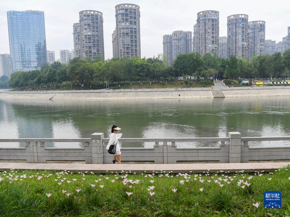 百家乐免佣什么意思